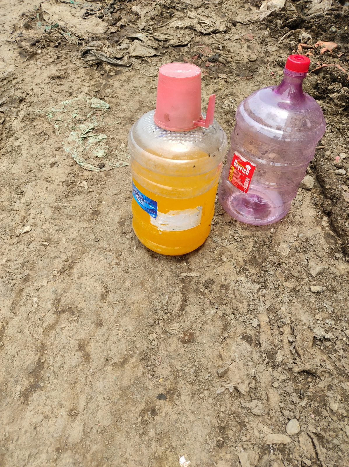 Biological solution containers