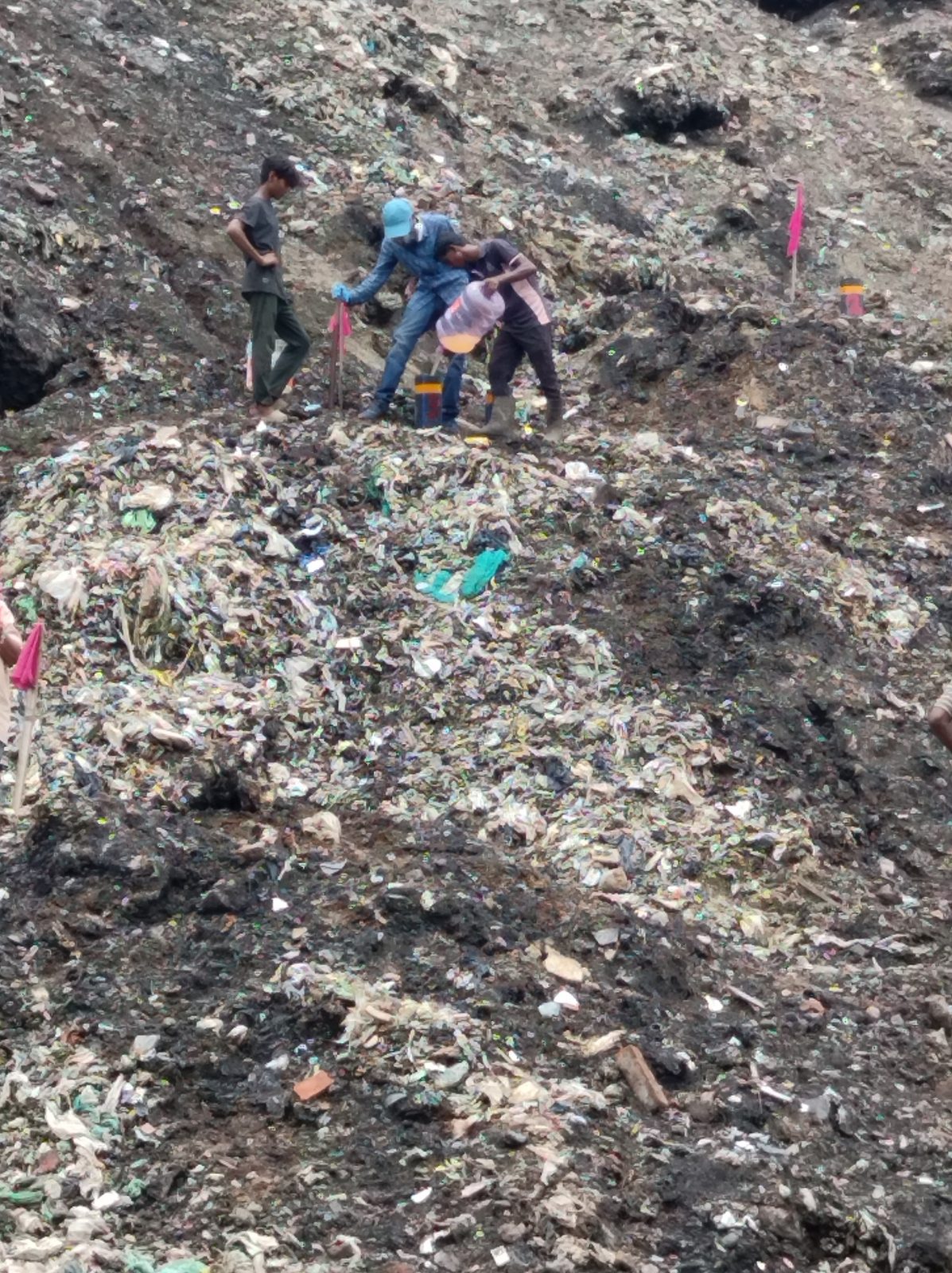 Field application of biological solution at landfill site