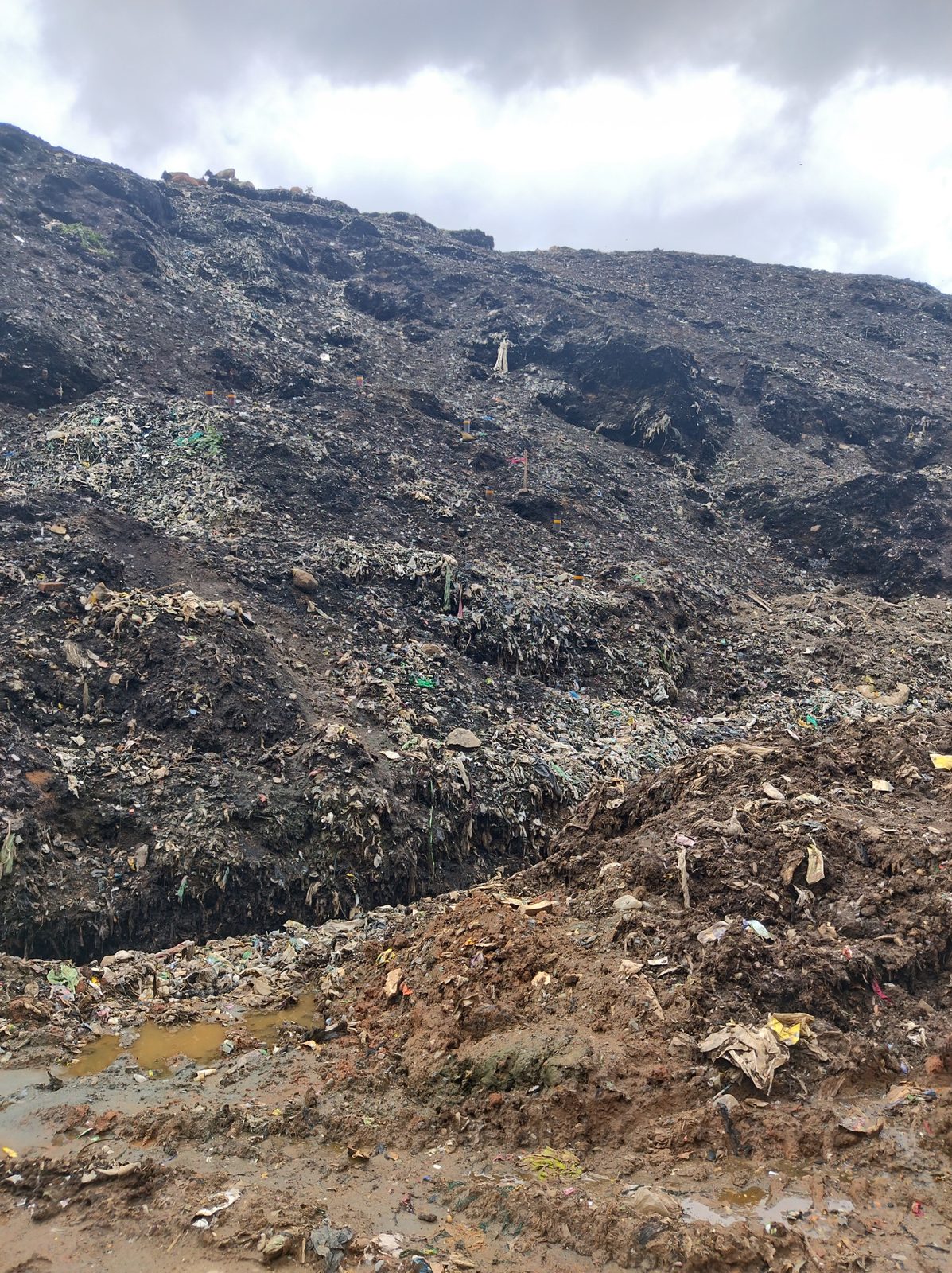 Landfill pilot infrastructure